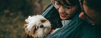 Guarda e convivência com animais de estimação